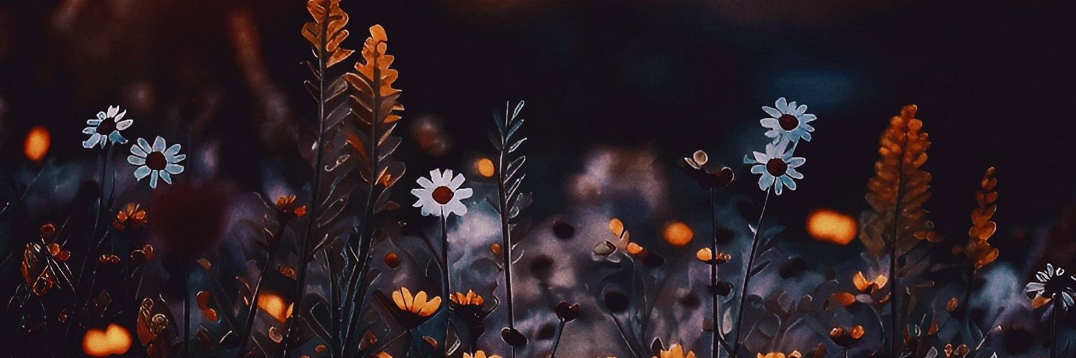leoni / artistic-souljourney's banner