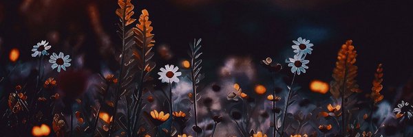 leellrc Profile Banner