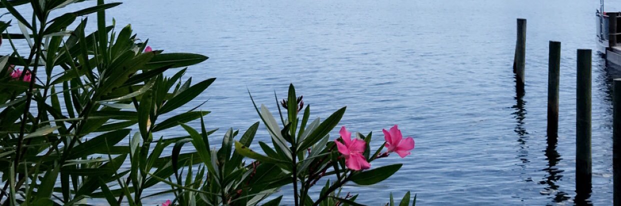 TaylorAraSmith's profile banner image