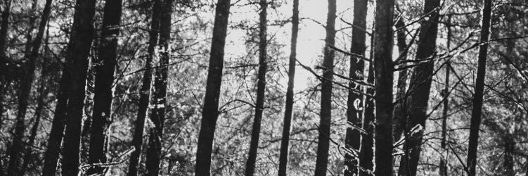 itsjackalackin's profile banner image