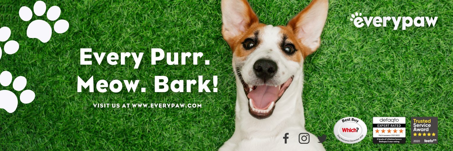 Everypaw banner