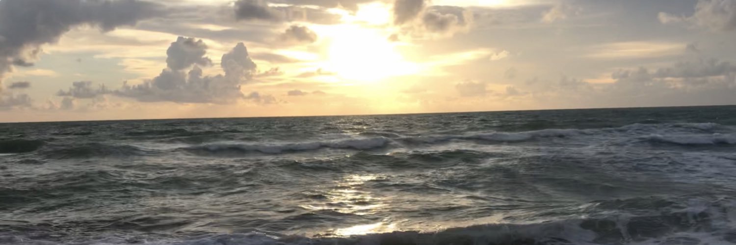 AP EnglishLiterature banner