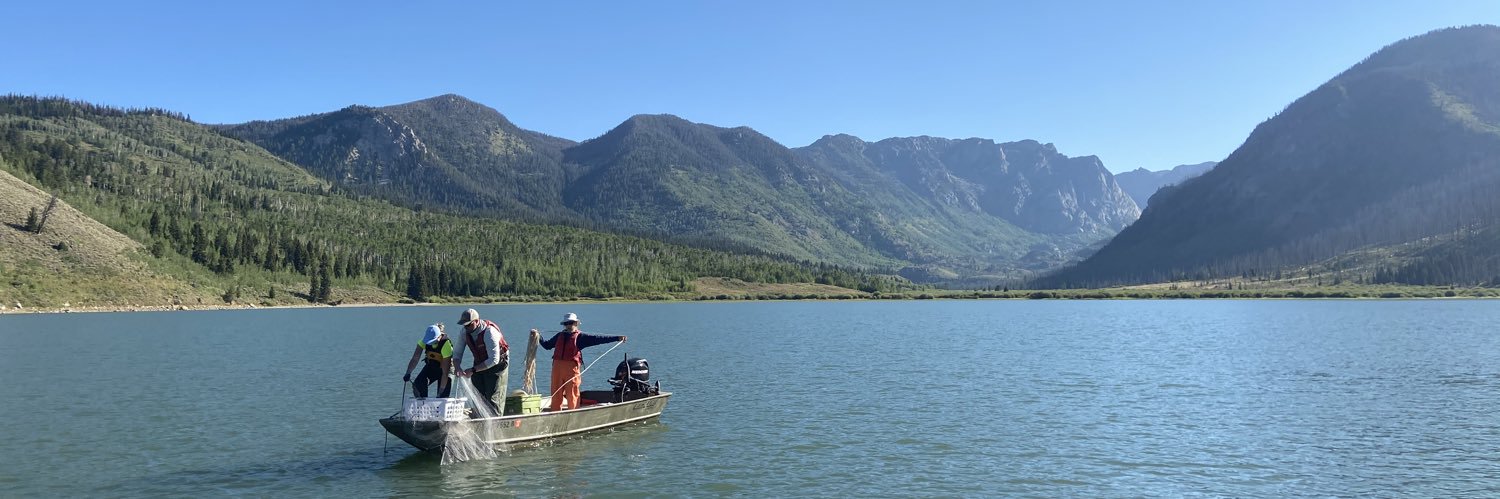 William Fetzer banner