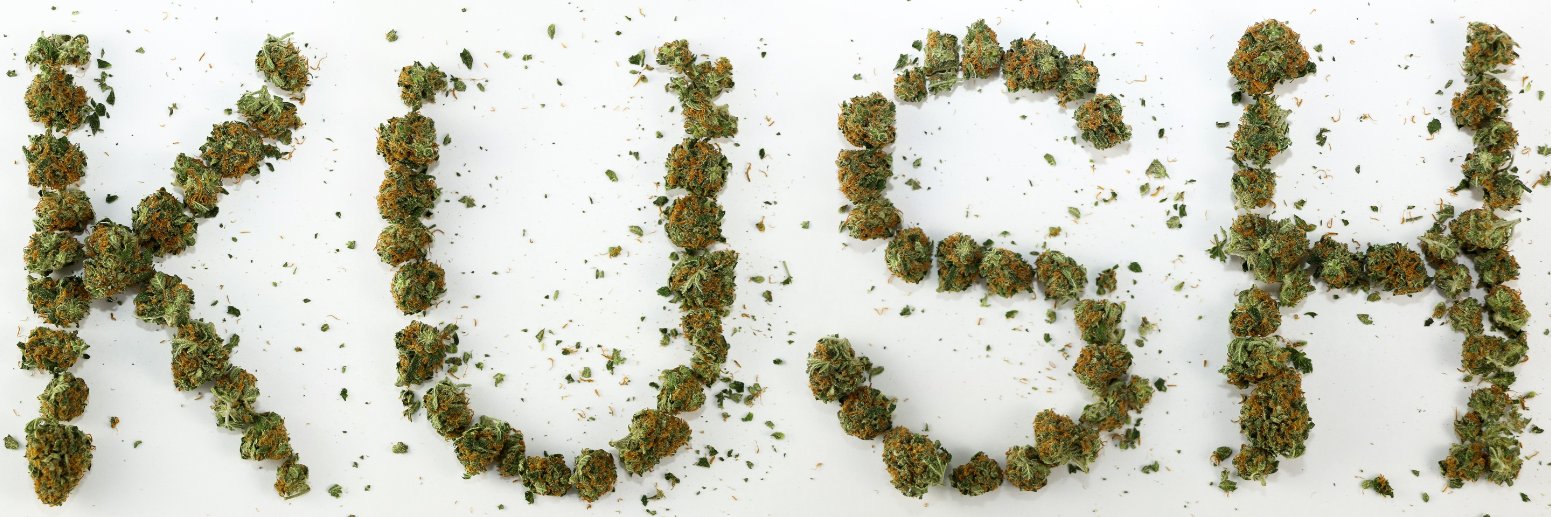 shhowtime420's profile banner image
