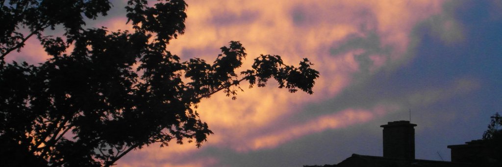 wimbleflat's profile banner image