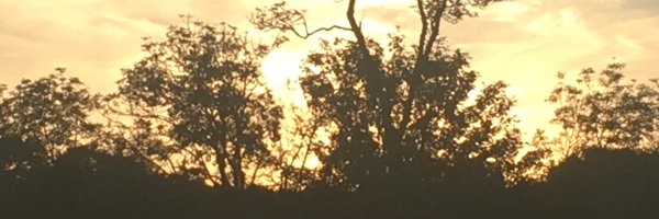 VivienneHanrah2 Profile Banner