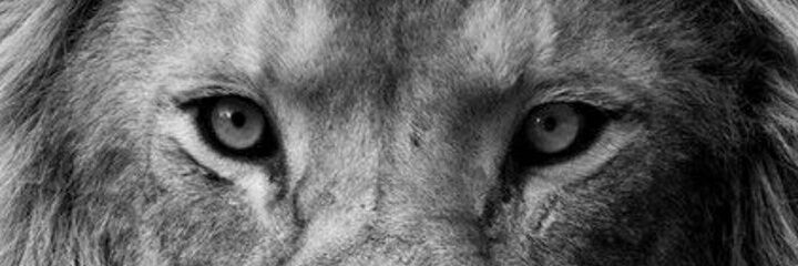 Jinang07's profile banner image
