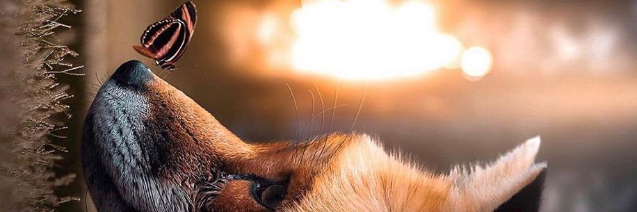 ganchoderopa's profile banner image