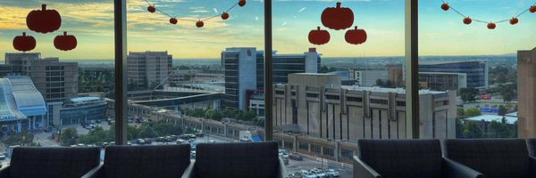 Nischistocyte Profile Banner