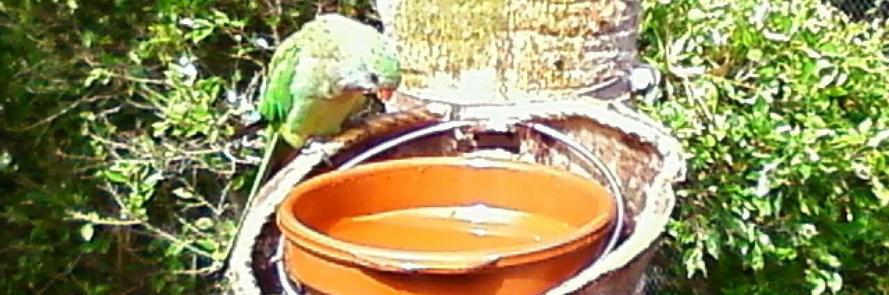 Erich Streitenberger banner