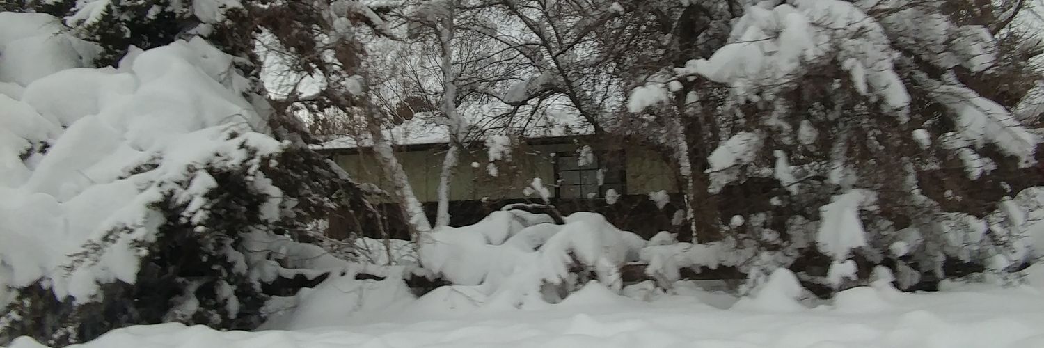 MRICH1213's profile banner image