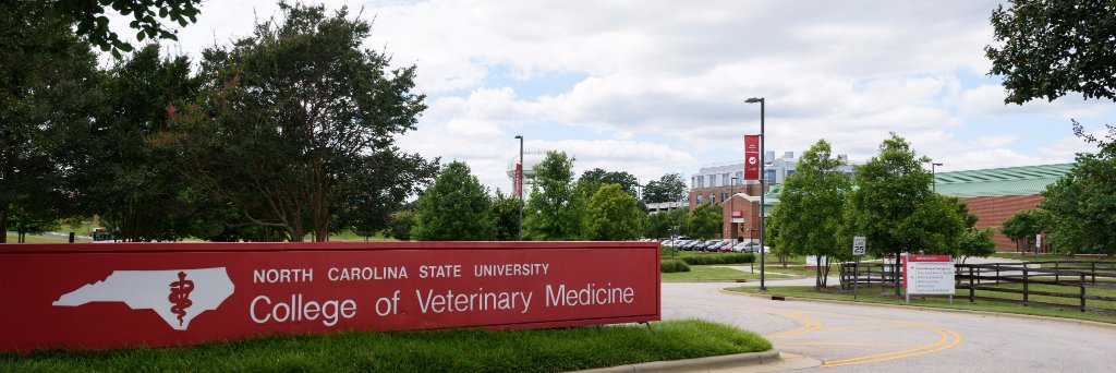 NCSU CVM Research banner