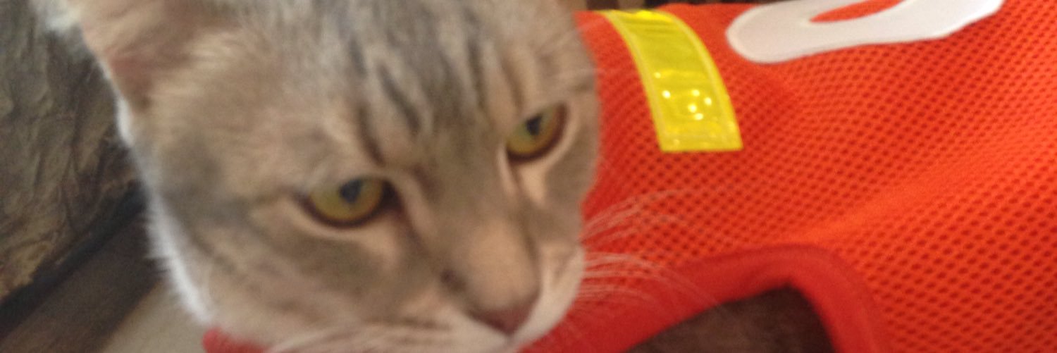 In_ma_head's profile banner image