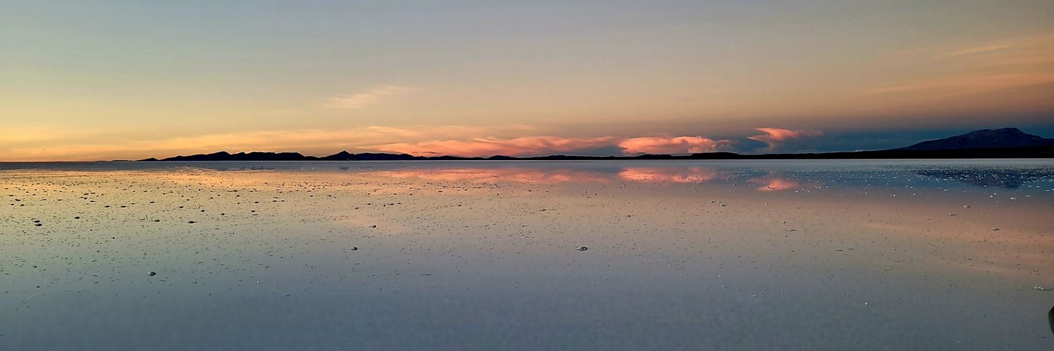 Ma. Fernanda Narváez banner