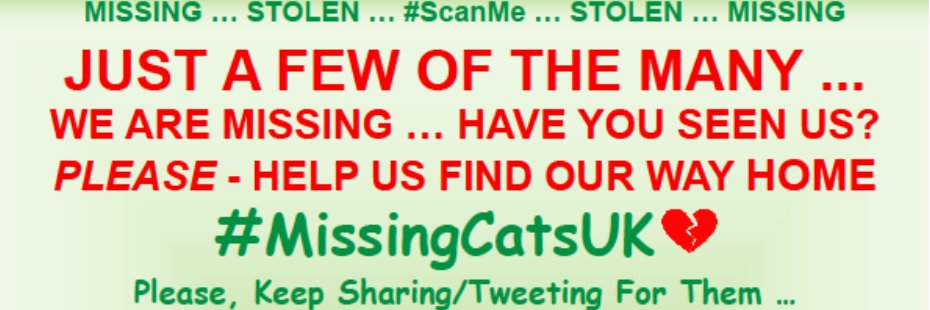 MissingCatsUK banner