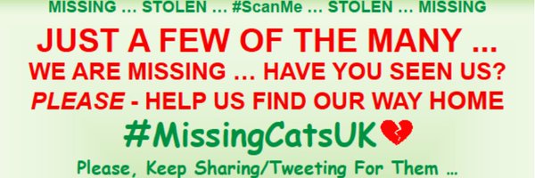 CatsMissing Profile Banner