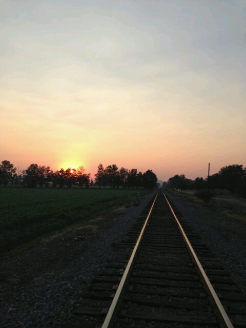 Pau ❤️‍🔥 banner