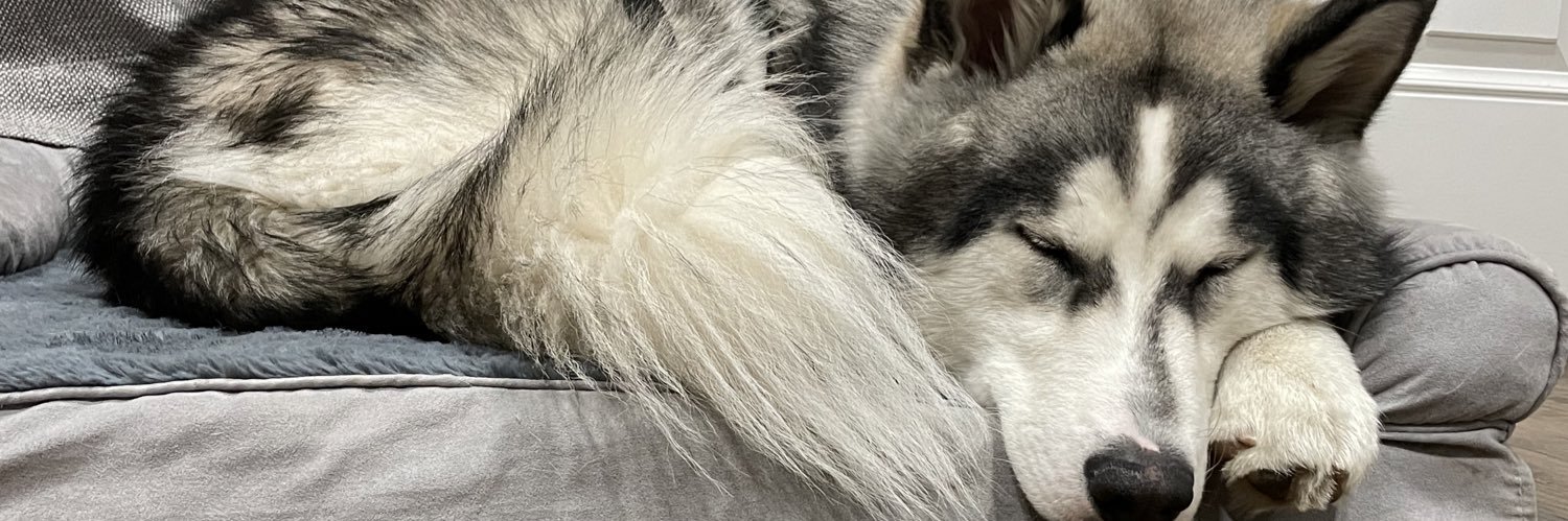 Don_Keyhoete's profile banner image