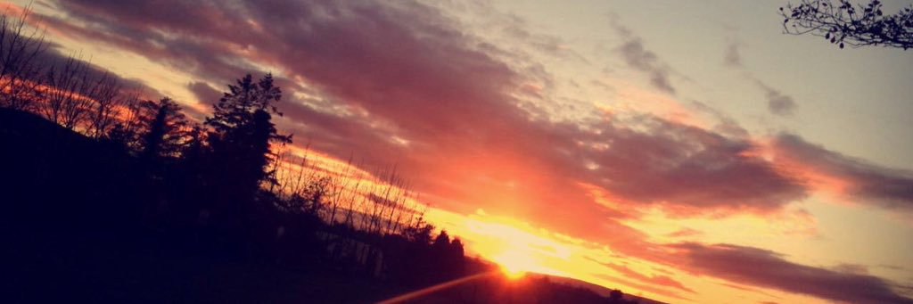 mandyd_29's profile banner image