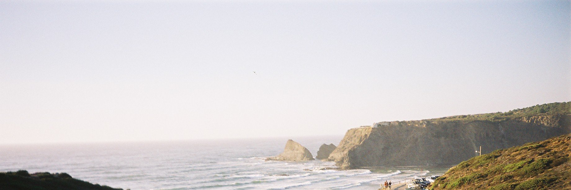 anamobe's profile banner image