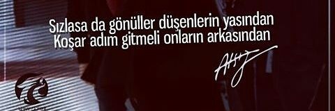 CeylanOzyurek's profile banner image