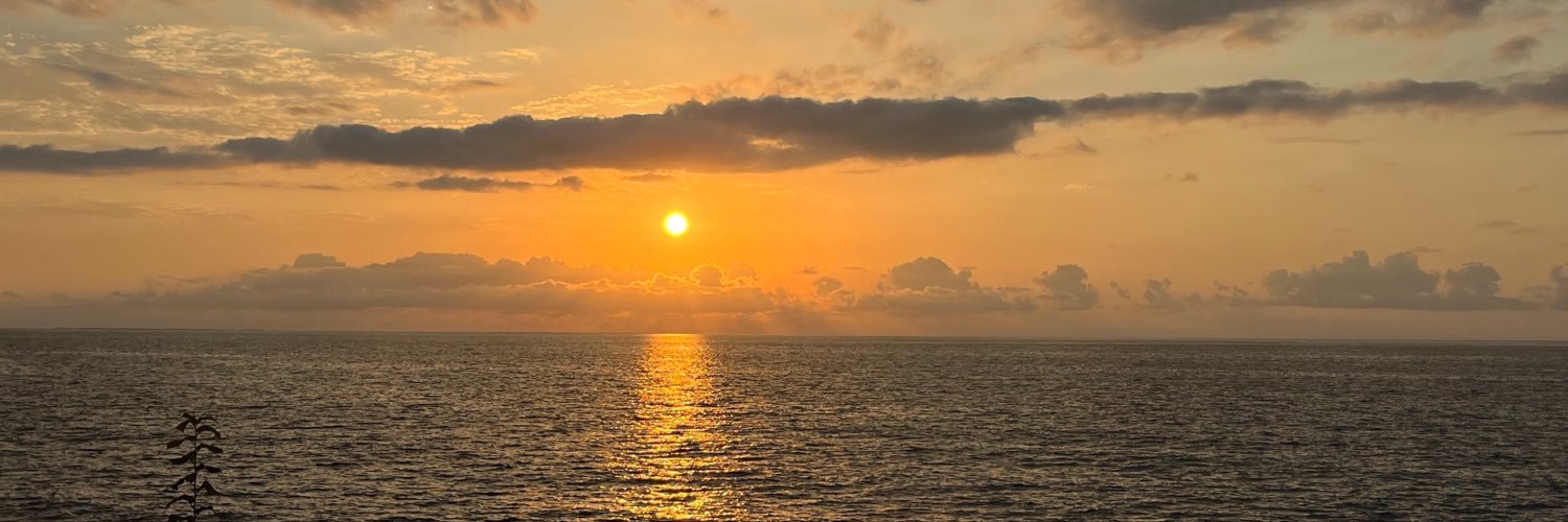 stlmzbrt's profile banner image