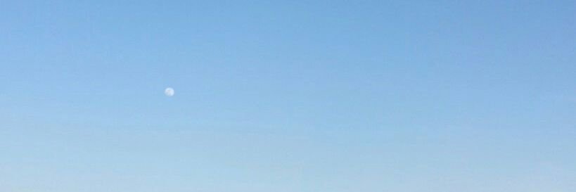 lcemoon's profile banner image