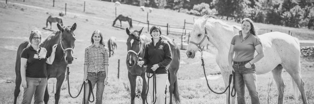 The Schnabel Lab banner