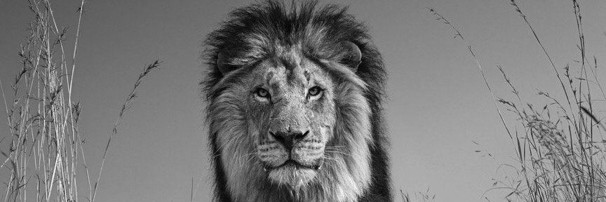 MarkKiptoo's profile banner image