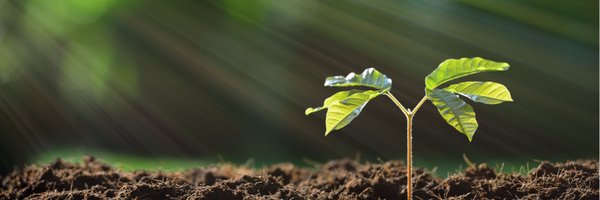 pheronym Profile Banner