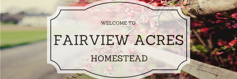 FairviewAcres's profile banner image