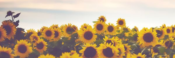 Kholokinz_'s profile banner image