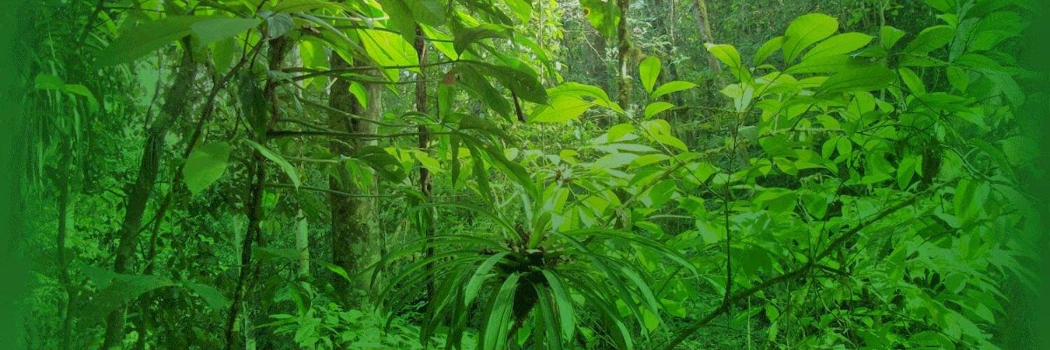 RanchoNatural's profile banner image