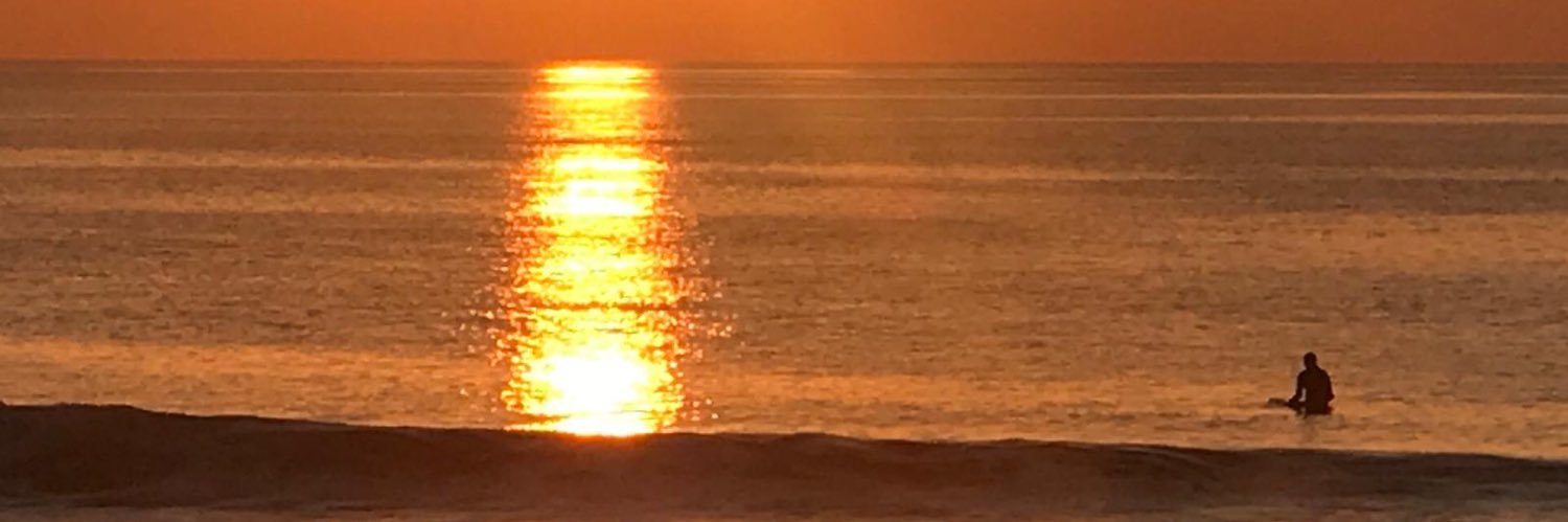 Dušan Vemić banner