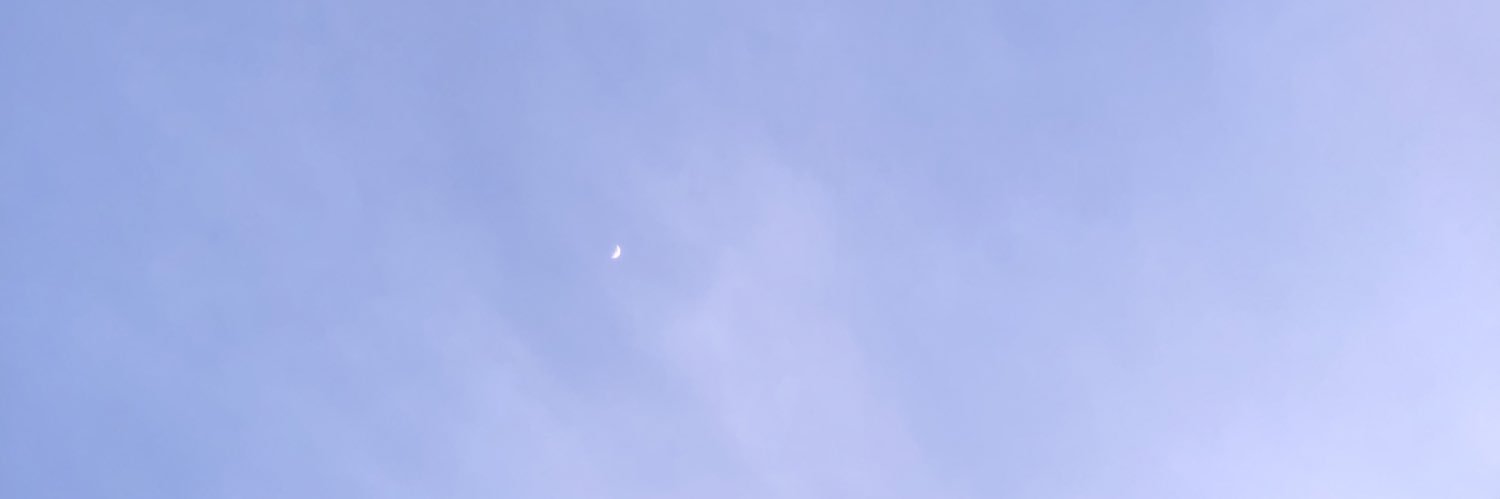 Leonor L banner