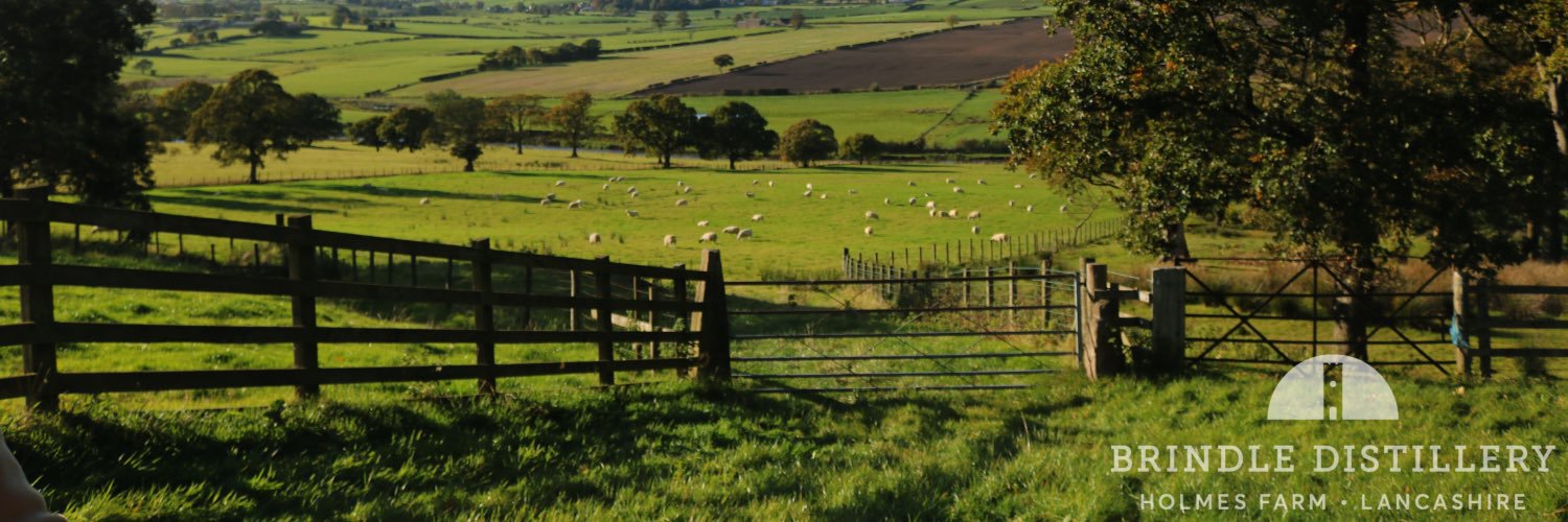 BrindleDistillery banner