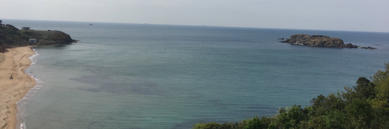 a_ince's profile banner image