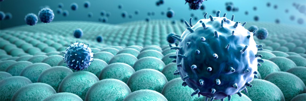 Sociedad Arg. de Inmunología banner