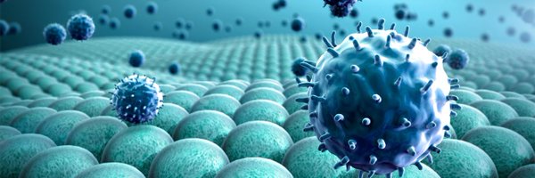 SAI_org Profile Banner