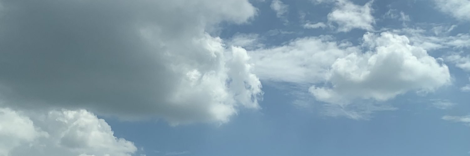ditaharitza's profile banner image