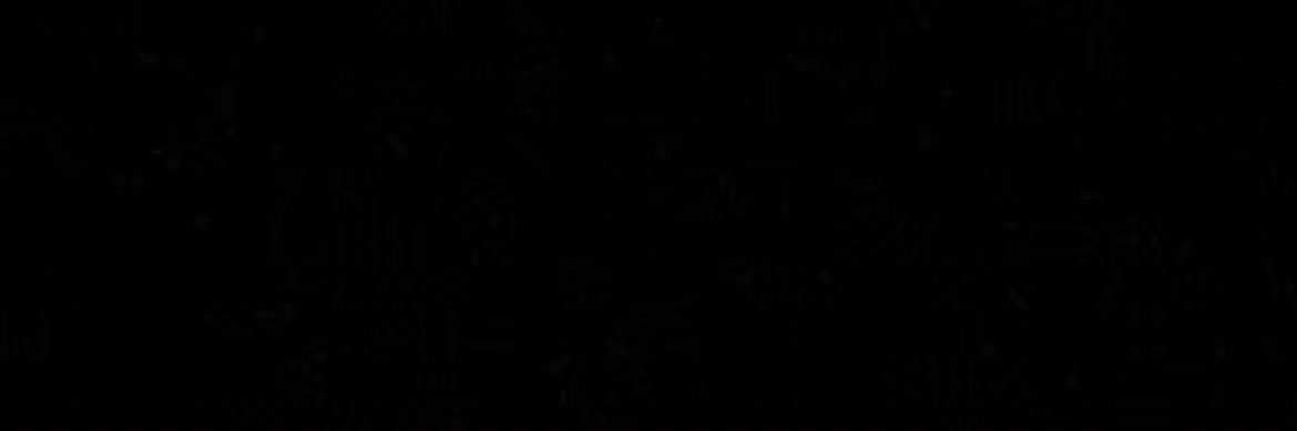 Zenas White banner