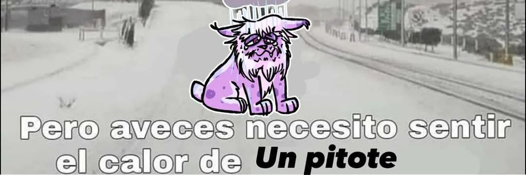 OsoPache banner