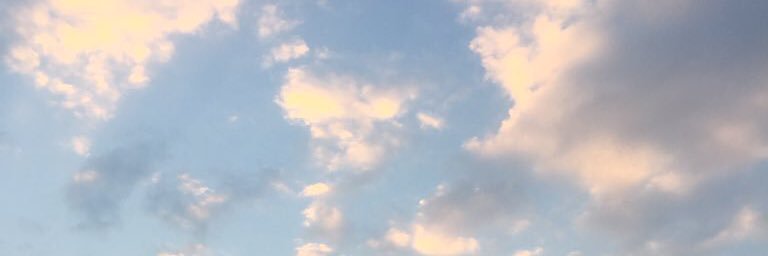 Haruka banner