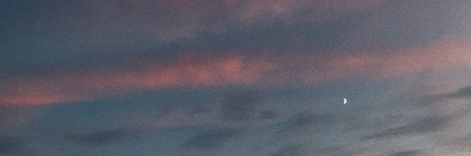 mejtenite's profile banner image