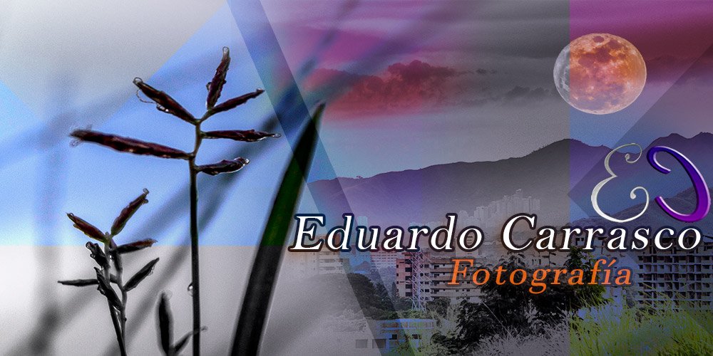 educamo's profile banner image