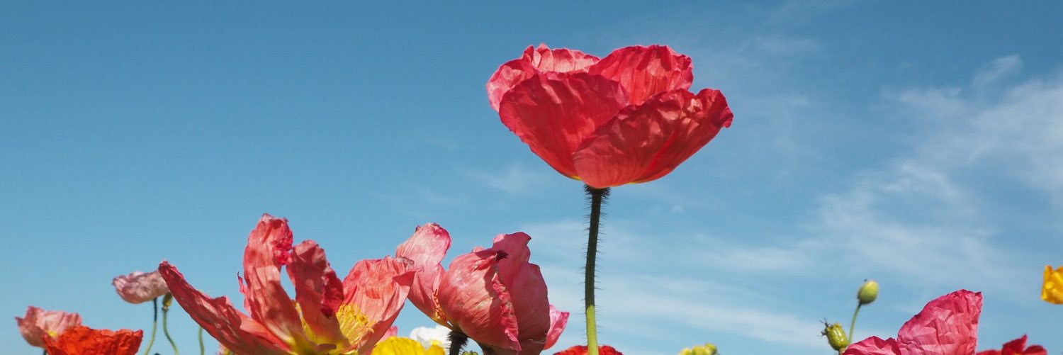 bbmn_y's profile banner image