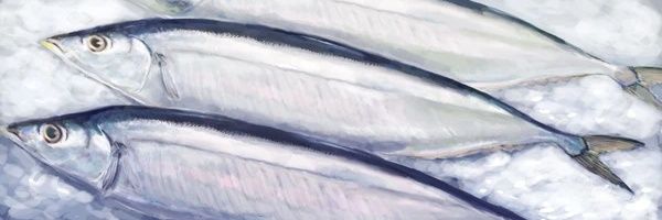 おてんばどん's banner