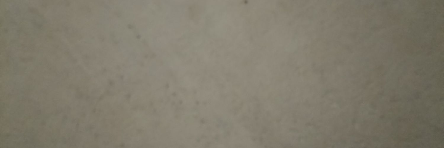 Stephani_1394's profile banner image