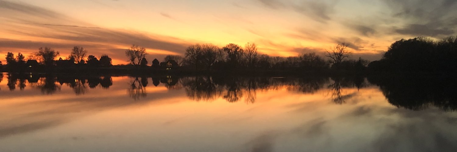 Owen Collison banner