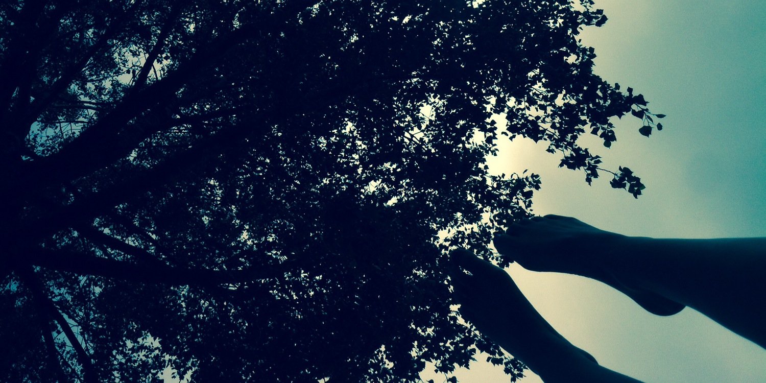 daniquegriet's profile banner image